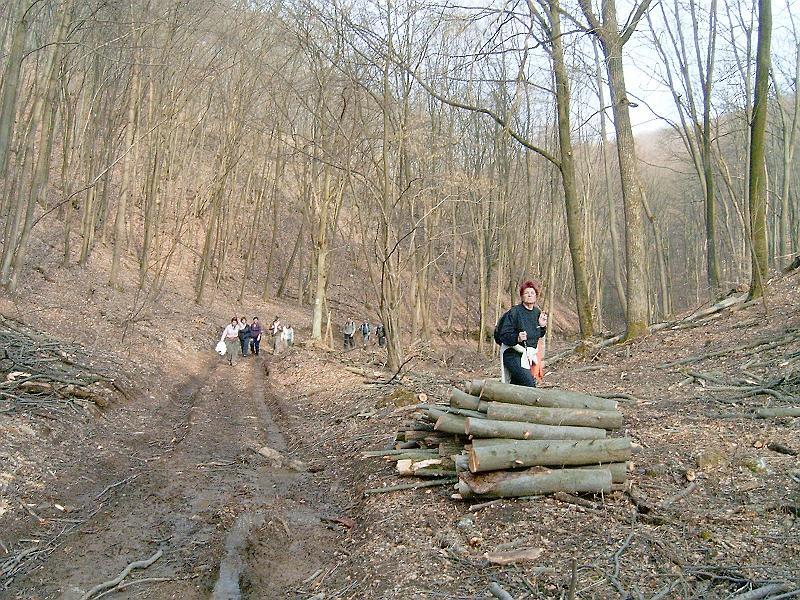 2010.03.20 065.jpg